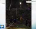 Tragedie la o nunta din California. Un copac a cazut peste mai multi invitati, care faceau poze in parcul in care avea loc petrecerea - VIDEO