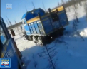 Cruzime fara margini. Un urs a fost calcat intentionat de soferul unui camion. S-a intamplat in Iacutia, Rusia - VIDEO