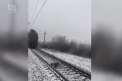 Si cainii se iubesc! In Ucraina, un caine a stat doua zile alaturi de partenera sa care era ranita si nu se putea misca - VIDEO
