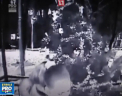 O femeie din Moscova a ajuns pe mana politiei. Aceasta a furat un brad impodobit, care statea la etajul patru al unui bloc de locuit - VIDEO