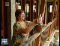 Cum ar fi sa locuiesti intr-o lume a pasarilor? In mijlocul unei paduri din nordul tarii, turisii sunt cazati intr-un hotel cu totul neobisnuit - VIDEO