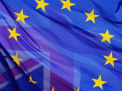 Ipoteza la care nu s-a gandit nimeni pana acum. Parlamentul European ar putea bloca iesirea Marii Britanii din UE