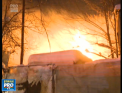 Incendiu devastator la un circ din Bucuresti. Doi tigri siberieni au murit in flacari, dar si caini, pisici si porci vietnamezi - VIDEO