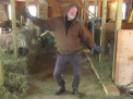 Munca de fermier poate fi si distractiva. Momentul in care un barbat danseaza in ferma sa de capre - VIDEO
