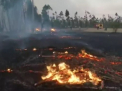 Stare de urgenta in Chile din cauza incendiilor de vegetatie. Flacarile au mistuit peste 80 de mii de hectare de pamant - VIDEO