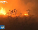 500 de mii de hectare au fost parjolite in Chile. Mii de oameni isi lasa locuintele, facute scrum, pentru a scapa cu viata - VIDEO