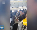 S-au rugat, pentru a scapa teferi din avionul in care se aflau. Pasagerii unei aeronave au aflat ca pilotul urma sa efectueze o aterizare de urgenta - VIDEO