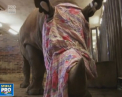 Decizie radicala la o gradina zoologica din Cehia. Coarnele tuturor rinocerilor sai vor fi taiate ca masura de precautie dupa atacul barbar de la un Parc Natural de langa Paris - VIDEO