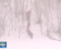 S-au dus la ski, insa nu s-au mai intors. Un grup de elevi si profesori au fost prinsi intr-o avalansa, in Japonia - VIDEO