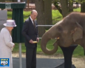 Regina Elisabeta a II-a a hranit un elefant cu banane in timp ce familia regala participa la inaugurarea unui centru pentru elefanti - VIDEO