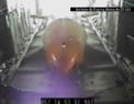 Dupa ce SUA au lansat "mama tuturor bombelor", Rusia a amintit ca detine "tatal tuturor bombelor" - VIDEO