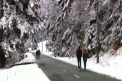 In tarile vecine a revenit iarna. Meteorologii romani au emis cod portocaliu de ninsoare pentru urmatoarele zile - VIDEO
