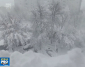 Iarna poate fi si in mijlocul primaverii. Vecinii nostri din Romania si Ucraina s-au trezit cu zapada la usa - VIDEO