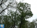 Frig, ploi si chiar lapovita. Prognoza meteo pentru urmatoarele doua zile - VIDEO
