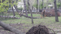 Dezastrul din parcul Dendrariu. Cum arata dupa ce a fost devastat de urgia alba de acum cateva zile - GALERIE FOTO