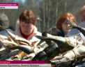 Toti amatorii de peste trebuie sa stie asta. Pentru ei, zilele acestea, in Rusia se da un adevarat festival. Ce puteti gasi pe tarabe - VIDEO