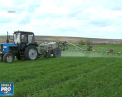 Agricultorii ar putea fi obligati sa-si asigure terenurile. Nicolae Ciubuc: "Acest lucru asigura un venit stabil agricultorilor sau evitarea unor pierderi" - VIDEO 
