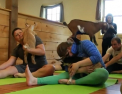 Yoga cu caprele. Noul trend aparut in SUA: animalele nu predau, nici nu practica, in schimb le creaza buna dispozitie cursantilor - VIDEO