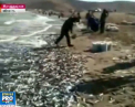 Zeci de tone de peste au fost aruncate la mal. S-a intamplat in Rusia. In culmea fericirii, pescarii s-au grabit sa stranga pestele - VIDEO