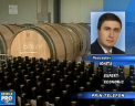 Cresterea leului moldovenesc da batai de cap exportatorilor si celor care primesc bani de peste hotare. Pierderile s-ar ridica la aproape jumatate de miliard de lei, sustin expertii economici. Cine are de castigat - VIDEO