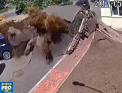 O conducta cu apa calda a explodat pe o strada din Kiev. Jetul de apa a lasat in urma sa un crater cu diametrul de 20 de metri - VIDEO