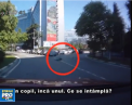 Incident socant in orasul Soci. Momentul in care pe o strada aglomerata doi copii cad dintr-un portbagaj - VIDEO