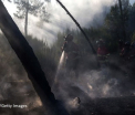 Bilantul incendiului de padure din Portugalia a ajuns la 63 de morti. Un pompier a decedat cand ajuta la evacuarea oamenilor