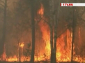 Incendiile mistuiesc hectare intregi de paduri in Siberia. Peste sase mii de pompieri incearca sa opreasca extinderea focului. Stare de urgenta in unele regiuni - VIDEO