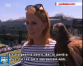 Un soim pe nume Rufus vegheaza arenele sportive pentru a alunga porumbeii si alte pasari: "-E cald pentru alteti, dar si pentru Rufus" - VIDEO