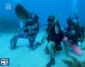 Concert sub apa in Florida. Sute de curajosi s-au scufundat in adancuri si au cantat la diferite instrumente muzicale - VIDEO