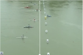 Oleg Tarnovschi este vicecampion european, la canoe sprint: a cucerit medalia de argint pe distanta de 500 de metri - VIDEO