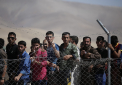 Italia ar putea sa emita vize temporare pentru ca migrantii sa calatoreasca in tarile UE
