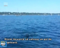A devenit un erou, dupa ce a salvat un pui de caprioara de la inec. Este vorba despre un caine, care a scos animalul din apa si l-a adus la mal - VIDEO