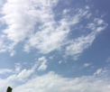 Saptamana incepe cu maxime de 34 de grade si ploi cu descarcari electrice. Prognoza meteo pentru urmatoarele zile - FOTO