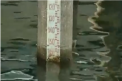 Seceta in mai multe tari din Europa. Autoritatile cauta masuri pentru reducerea consumului de apa: locuitorii din Roma ar putea primi apa pe rand, cate 8 ore pe zi  - VIDEO
