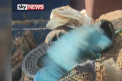 O companie din Spania produce haine ecologice, iar materialul este luat chiar din mare. Oamenii scot plasticul din apa si primesc bani: "Ne castigam traiul de pe urma marii" - VIDEO