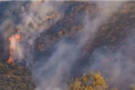 Sudul Atenei este cuprins de flacari. Aproape o suta de pompieri incearca sa stinga incendiul puternic de vegetatie - VIDEO