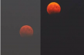 Ghinion pentru cei care au urmarit eclipsa de luna. Fenomenul a fost vizibil doar partial. Cei pasionati au reusit sa surprinda luna rosietica - VIDEO