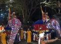 Parada de proportii in Sri Lanka. Zeci de elefanti au defilat pe strazile orasului Kandy - VIDEO