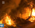 Ard padurile in Portugalia. Vantul si temperaturile inalte duc la raspandirea incendiilor, iar peste 1600 de pompieri incearca sa le stapaneasca - VIDEO