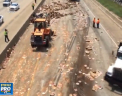 Accident care iti sporeste pofta de mancare. Un camion plin cu pizza inghetata a atins un pod, iar marfa s-a imprastiat pe sosea. Totul a avut loc in SUA - VIDEO