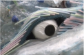 O balena uriasa a esuat in centrul Londrei. Nu a aparut acolo din ocean, ci a fost confectionata de cativa ecologisti: balena a fost creata din sticle si plastic scoase din ocean - VIDEO