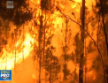 Incendiile de vegetatie sunt de neoprit in Portugalia - VIDEO