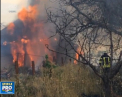 Cateva locuinte din orasul Zaitevo, din estul Ucrainei, au ars din temelii dupa ce separatistii ar fi lansat un atac cu munitii cu incarcatura incendiara - VIDEO