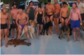 Pe o plaja din Croatia s-a deschis un bar special pentru caini. Acolo patrupezii au parte de o vacanta de vis cu diferite concursuri si gustari - VIDEO