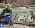 Animalele de la o gradina zoologica din Londra au trecut pe la cantar. De la cel mai mic brotacel pana la elefanti si girafe: vezi cum au fost convinse - VIDEO