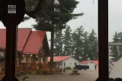 Imagini impresionante, surprinse in Canada. Un fulger a lovit un arbore, despicandu-l in bucati - VIDEO