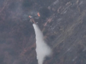 Este stare de urgenta la Los Angeles. Peste 2 mii de hectare de padure si vegetatie au fost cuprinse de un incendiu urias: 500 de salvatori lupta cu flacarile - VIDEO