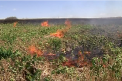 Pericol exceptional de incendii si cod galben de seceta. Pana cand este valabil anuntul facut de meteorologi - VIDEO
