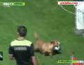Un caine a facut spectacol la un meci din Argentina. A iesit pe teren si a demonstrat ce poate cu mingea - VIDEO